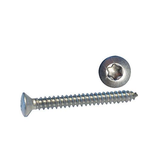 Skruv kullerförsänkt 5,5 x 19 A4 Torx-spår ISO 14587 10st.