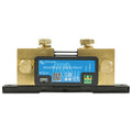 Victron SmartShunt 300Amp IP65