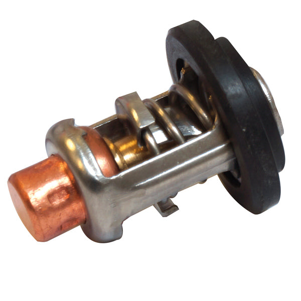 Termostat till Mercury