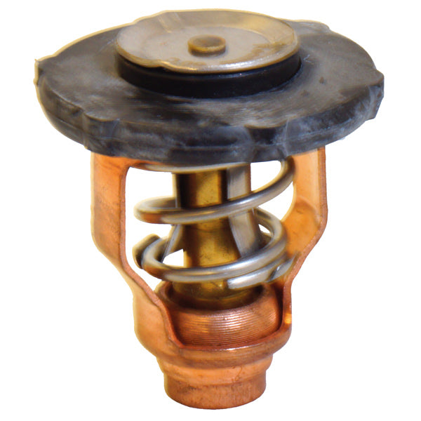 Termostat till Yamaha OEM 6FP-12411-00